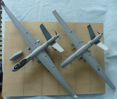 P1060320k.jpg