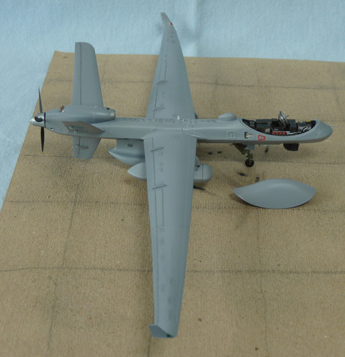 P1060328k.jpg