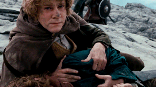 tumblr 5ab115f052023fadaeb08dba1c0279a9 ca957734 540.gif