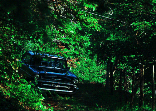 tumblr ad407b90a4d22e4e286532b69cd2c810 bb40fd89 540.gif