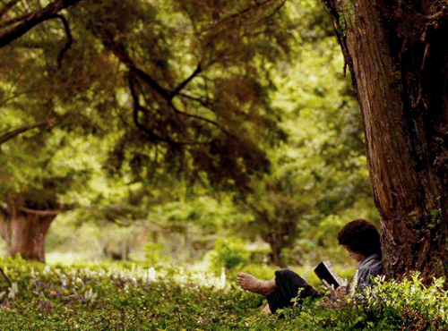 tumblr 7f27c684bc5a2cca3ec29a68a0f9c7bf 81da60b2 540.gif