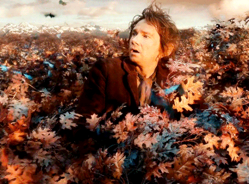 tumblr b1a326a09d4753f11df00dd1df2b0f47 5e2b61c8 540.gif