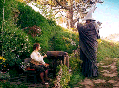 tumblr f4928823d1f8e86b92e5025f6f9c8b97 22bbd01e 540.gif