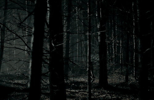 tumblr 3a75210af0e05872ca5c51e5f0a14e88 3690d971 540.gif