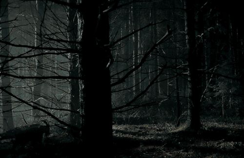 tumblr 4b424668b86cdc1e3393c9e42844fa51 ee6ed10c 540.gif