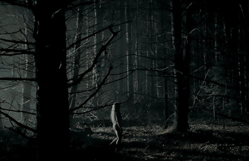 tumblr 3196355cf75eb6470d3d6a29d45c157c 0bbc9bbe 540.gif
