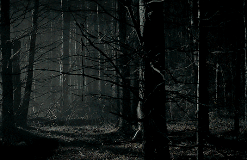 tumblr 5bed850a3ffb3c8465cdefe7e44ae0da 5d553c70 540.gif