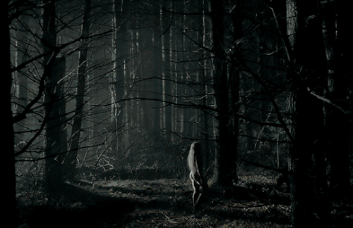 tumblr 97b7a7f595c1b8bee37b2ddffeadcccc 11879aa3 540.gif