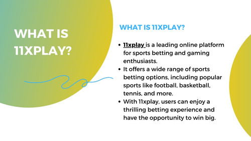what is 11xplay.jpg