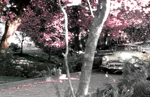 tumblr 2af3d03fec10c7b7f9ca2a9fdd386620 708206ee 540.gif