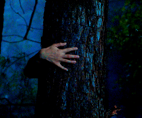 tumblr b45f89b3dd9c98c793f617d66bac05b0 e5759dc8 540.gif