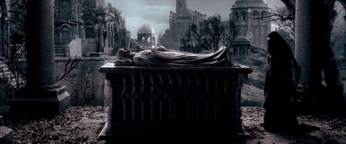 tumblr e108ee01b37a379a295f85eba1067412 36e85182 540.gif