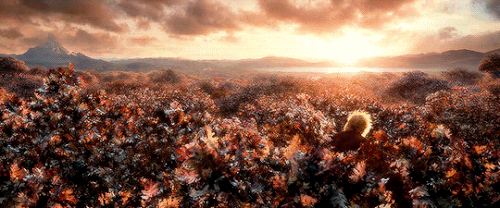 tumblr fc4ace3d130e2177024d09442a47d54b 32938571 540.gif