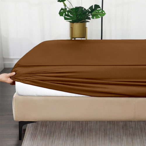 Brown 1 (1).jpg