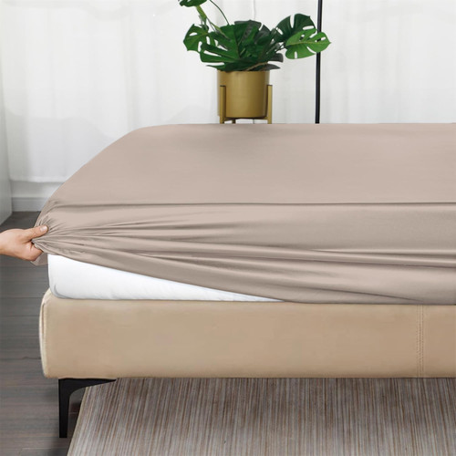 Bear Beige (1).jpg
