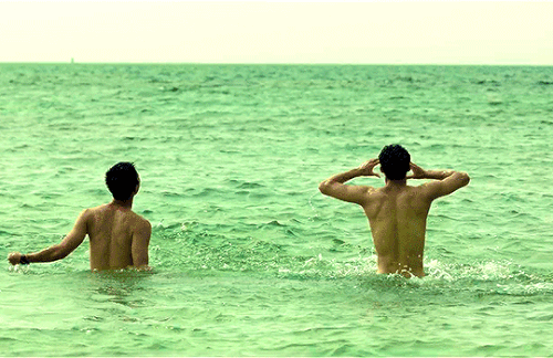 tumblr b2526610203db8877690bd91de505015 8131b072 540.gif