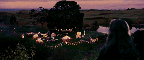 tumblr aed292fdbdf713daaf86bf4b954e43dc 1916b74c 540.gif