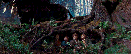tumblr 74dd6c810bdccbded1f6cc3296768133 88c703b3 540.gif