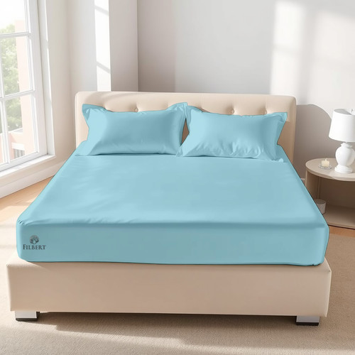 Light Blue (7).jpg