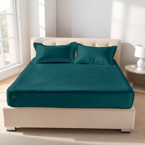 Teal (8).jpg
