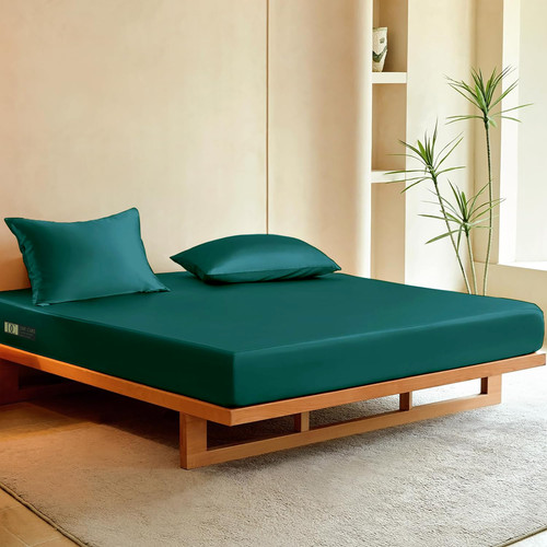 Teal (13).jpg