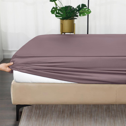 Light Mauve (1).jpg