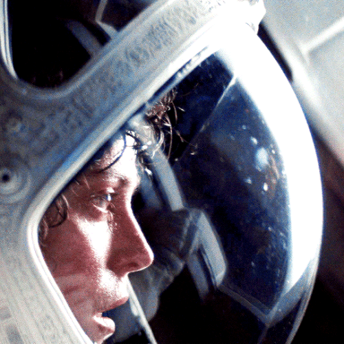 tumblr 9ee933e5f41d94117af76ca446c3d652 77432c81 540.gif