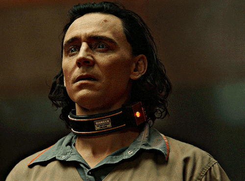 tumblr 31b63a2db4333dee2af1dd605716dfcd 812da79b 540.gif