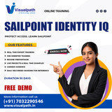 Sailpoint Online Course Hands On Sessions by Experts