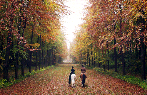 tumblr f5c985cb78e7f4375d113ab47631fca5 3ac69475 540.gif