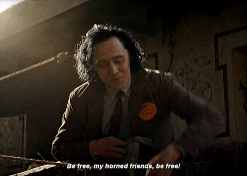 tumblr f620131aaf8f6318f86d561c3dc6fef8 b1ed88fd 540.gif