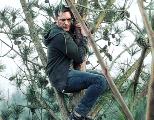 tumblr bda78aa6c11ee5f399b03a5ee0e9102e 61cef189 540.gif