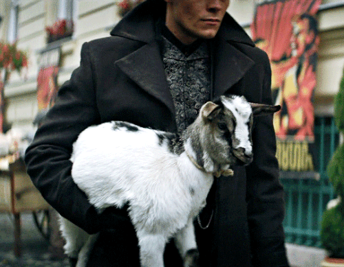 tumblr 45881a9339a7a3ddfbd2cca4fb8e8158 6607d6c9 540.gif