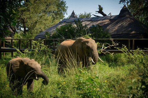 Best kruger park accommodation.jpg