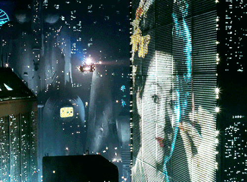 tumblr f8be6b5c09ea60523b281c113bac4945 4b111d89 540.gif