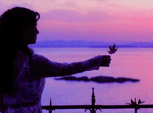 tumblr 824dd7ef0a9236e20ef3e4cf44ca1979 60a3fd12 540.gif
