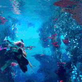 tumblr 361a60d64c21565806233e77c9f11440 fb4011e5 500.gif