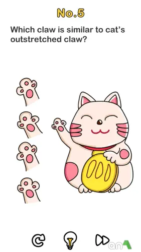 brain out 608977.webp