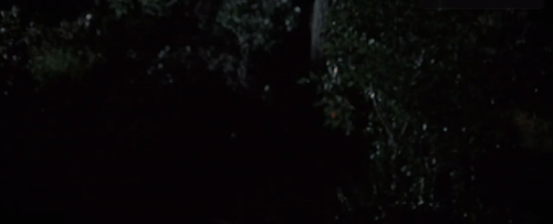 ezgif.com crop (1).gif