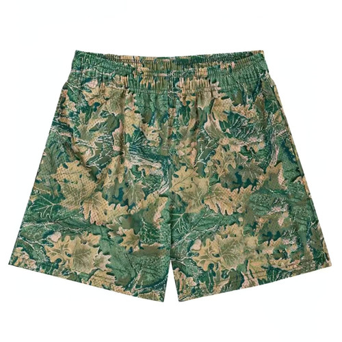 亮绿色树叶 (1).jpg