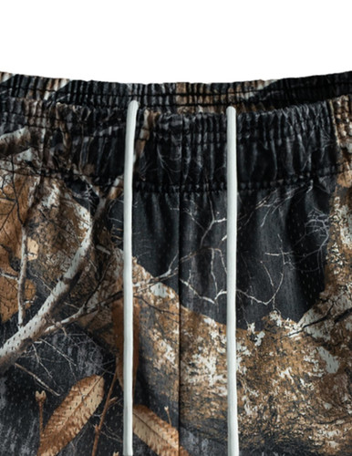 浅黑色树叶 (2).jpg