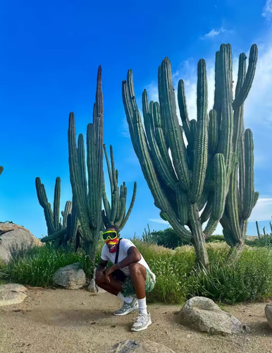 红色树叶 (4).jpg