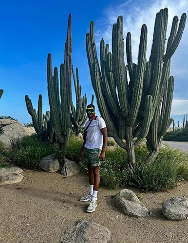 红色树叶 (3).jpg