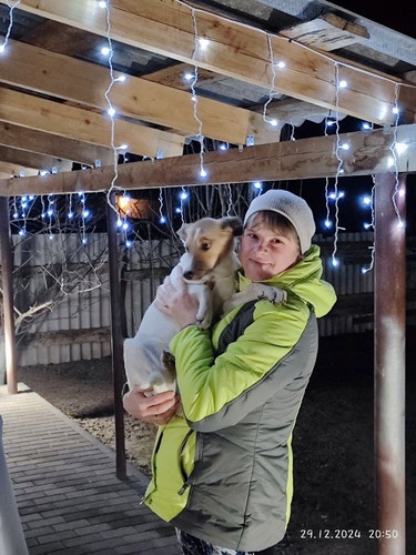 IMG 20250312 110917 268.jpg