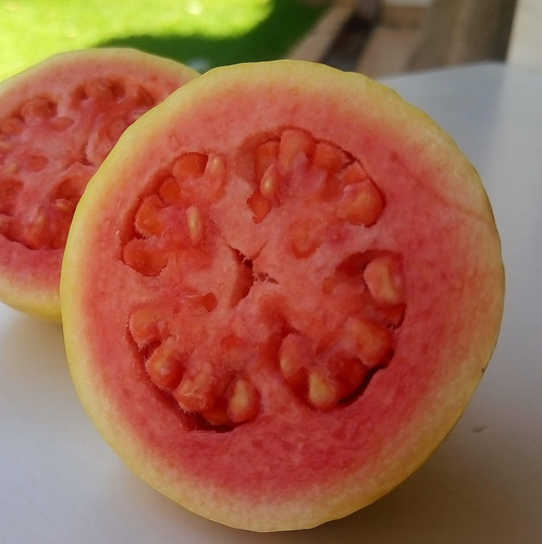guava 5979586 1920.jpg