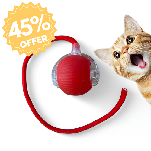 Copia de Copia de Copia de Copia de Copia de Transformas tu piel! (1).png