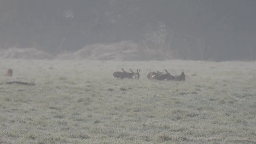 c vzPOqDBvR8V0TW.jpg