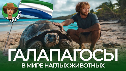 5948207535624402672 y 4.jpg