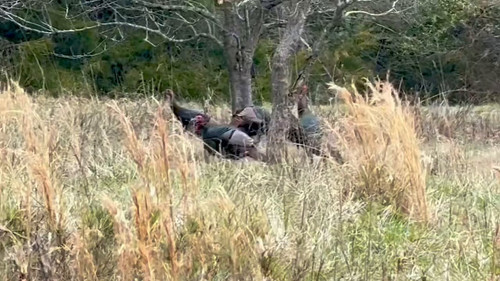 p3rt5 SWQtje3u9k.jpg