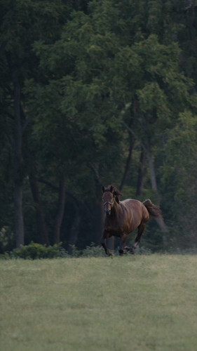 YrDxiQbuclH hxKm.jpg